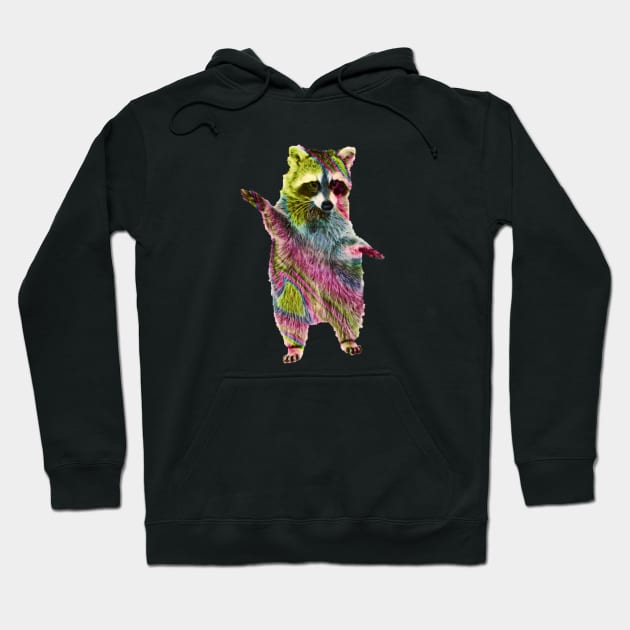 Rainbow Raccoon 4 Hoodie by funhousejen